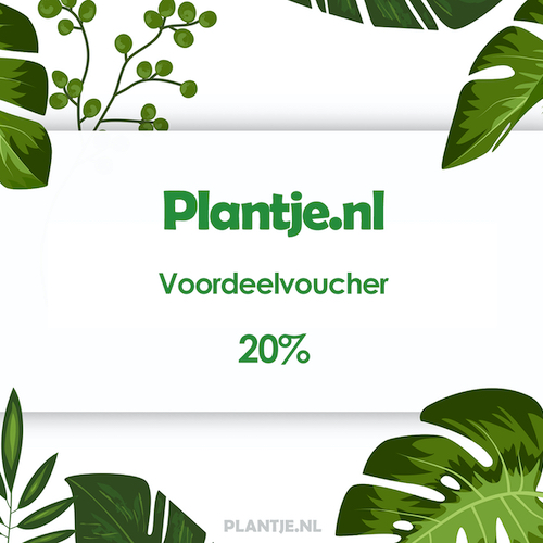 20% kortingsvoucher