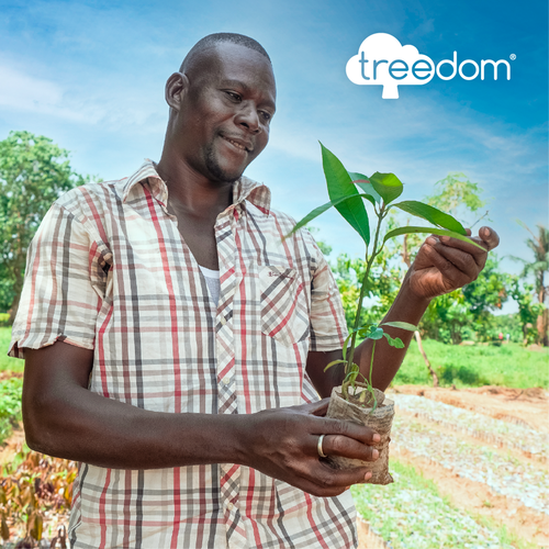 Offrez un arbre avec Treedom et bénéficiez d'une remise de 15 % !